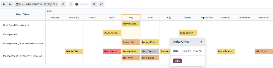 A report showing all the appraisals for the Appraisal Analysis report.